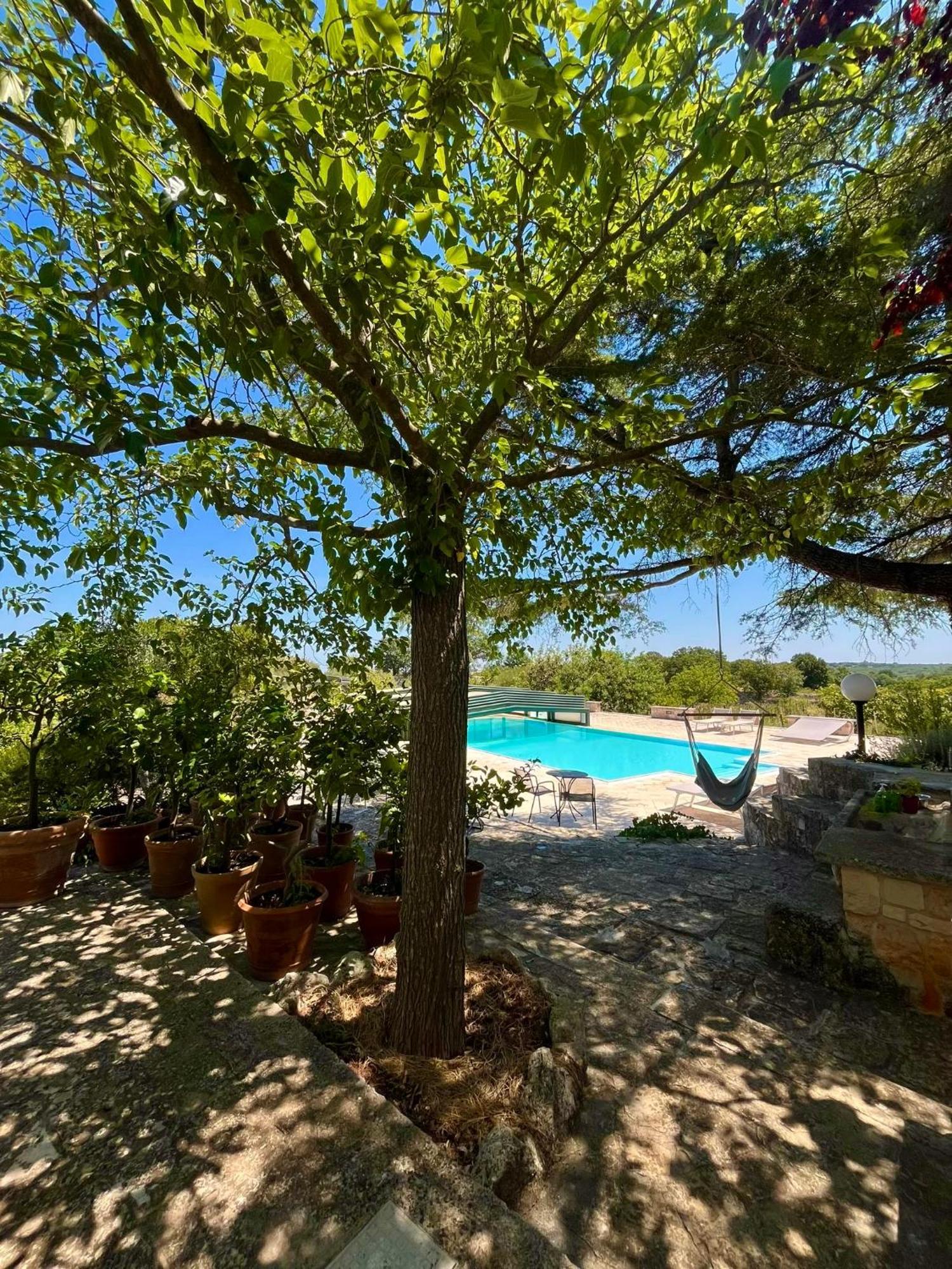 I Trulli Della Naturabio Martina Franca Ngoại thất bức ảnh