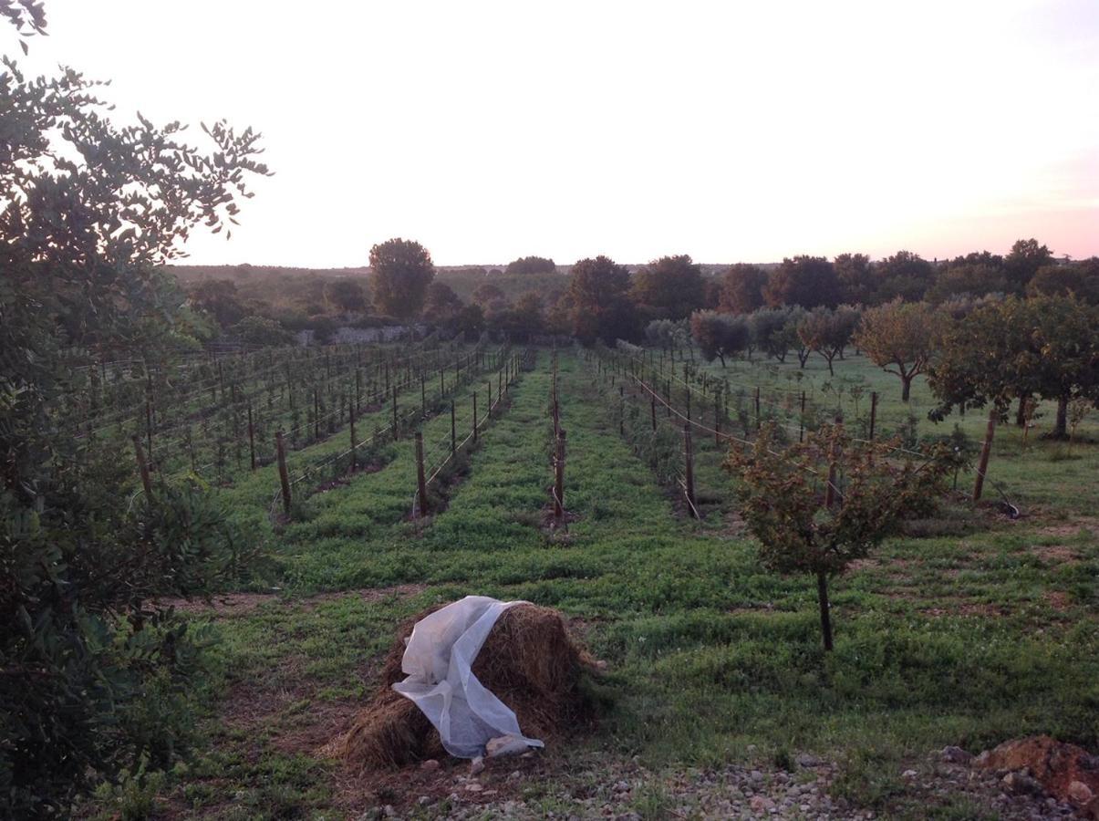 I Trulli Della Naturabio Martina Franca Ngoại thất bức ảnh