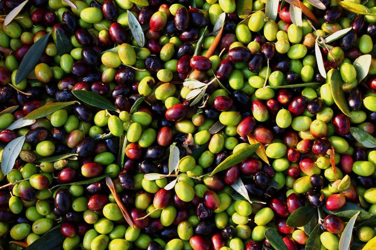 I Trulli Della Naturabio Martina Franca Ngoại thất bức ảnh